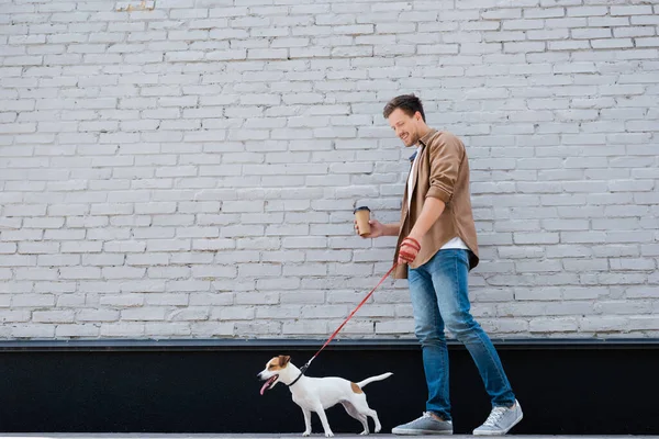 Joven sosteniendo café para ir mientras camina con correa jack russell terrier cerca del edificio - foto de stock