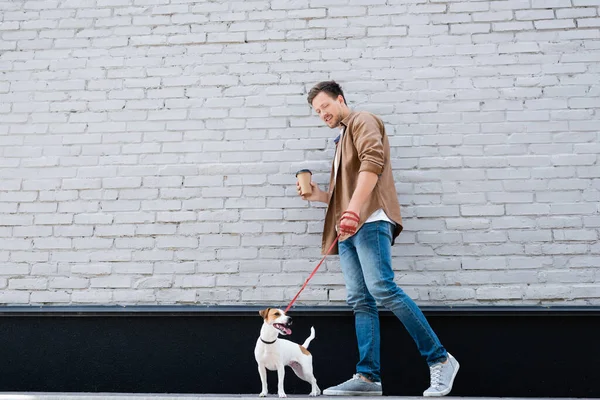 Man with paper cup walking jack russell terrier on leash near building on urban street — Stock Photo