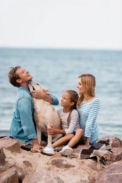 Selective focus of man embracing golden retriever near family on beach — Stock Photo
