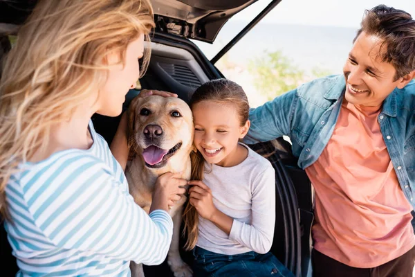 Selective focus of woman petting golden retriever near daughter and husband while traveling in car — Stock Photo