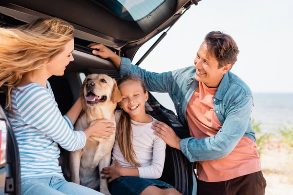 Selective focus of family with golden retriever sitting in truck of auto — Stock Photo