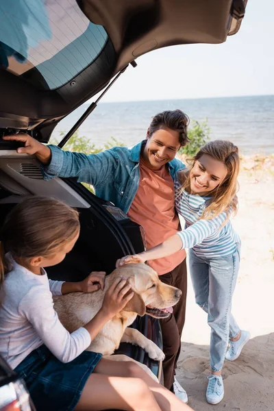Вибірковий фокус батьків, які печуть золотим ретривером біля дочки в багажнику автомобіля — стокове фото