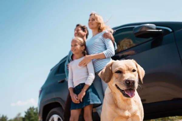 Foco seletivo de golden retriever perto da família ao lado do carro ao ar livre — Fotografia de Stock