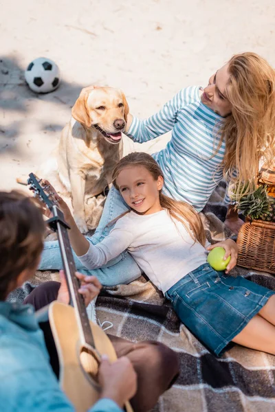 Вид сверху на человека, играющего на акустической гитаре рядом с женой, дочерью и золотистым ретривером на пляже — стоковое фото