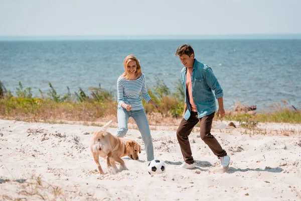 Couple with golden retriever playing football on beach — Stock Photo