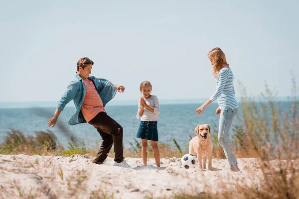 Foco seletivo de casal com criança e golden retriever jogando futebol na praia — Fotografia de Stock