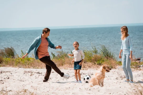 Селективный фокус мужчины, играющего в футбол с дочерью рядом с женой и золотистым ретривером на пляже — стоковое фото