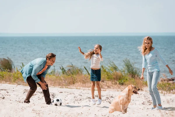 Famille avec golden retriever et football jouant sur la plage — Photo de stock