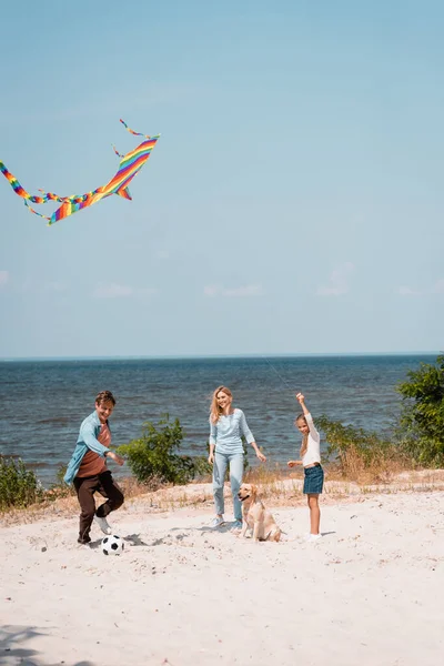 Ребенок держит воздушного змея рядом с золотистым ретривером и родители играют в футбол на пляже — стоковое фото