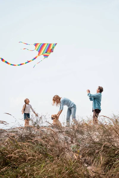 Selective focus of man holding kite near wife and daughter with golden retriever on grassy hill — Stock Photo