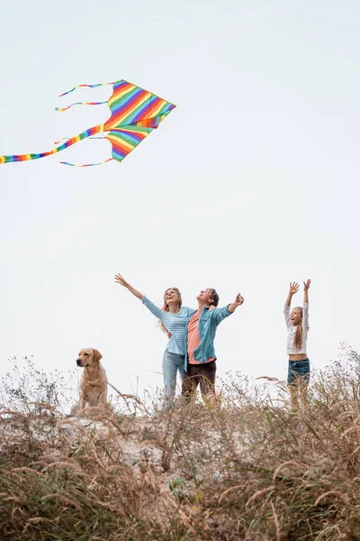 Foco seletivo de pais com kite abraçando perto da filha e golden retriever na colina gramada — Fotografia de Stock