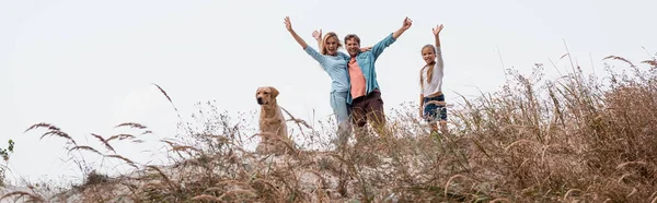 Panoramic shot of family with golden retriever waving at camera on grassy hill — Stock Photo