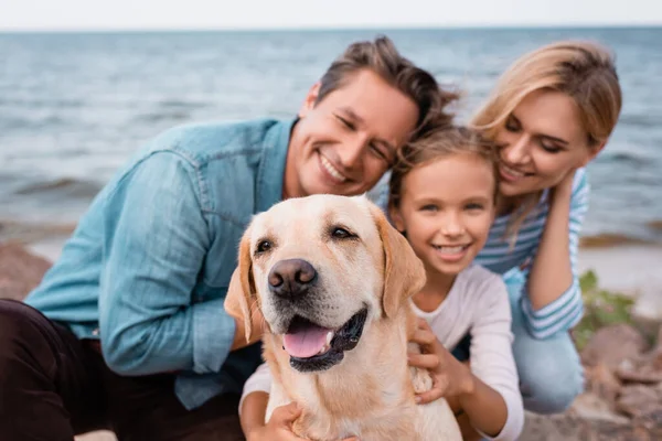 Enfoque selectivo de golden retriever sentado cerca de la familia en la playa - foto de stock