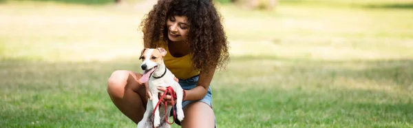 Panoramic crop of young woman holding jack russell terrier dog — Stock Photo