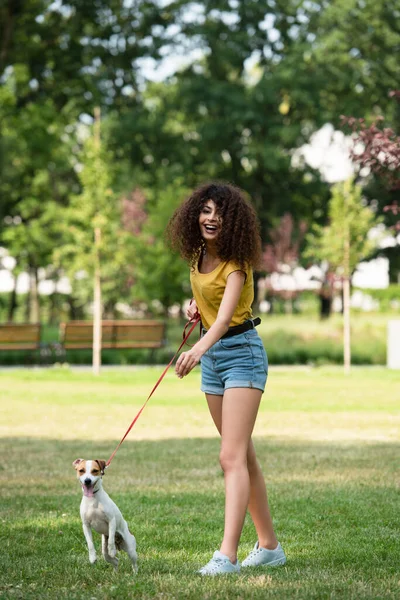 Selective focus of young woman looking away and keeping dog on leash — Stock Photo