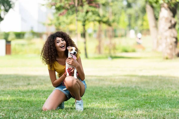 Selective focus of young woman holding dog and looking at camera — Stock Photo