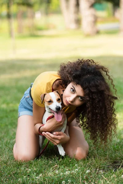 Selektiver Fokus einer jungen Frau, die auf Gras sitzt und Hund umarmt — Stockfoto