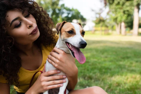 Enfoque selectivo de la mujer joven mirando gato russell terrier perro - foto de stock