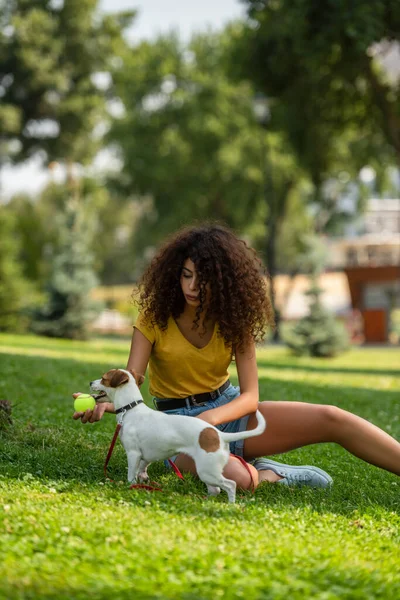 Foco seletivo da jovem segurando bola de tênis e olhando para o cão — Fotografia de Stock