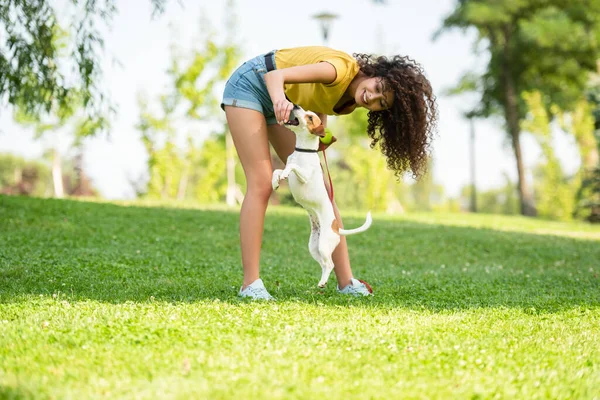 Selective focus of young woman playing with jumping dog in park — Stock Photo