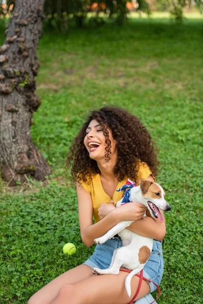 Foco seletivo de mulher animado sentado com Jack Russell terrier cão na grama — Fotografia de Stock