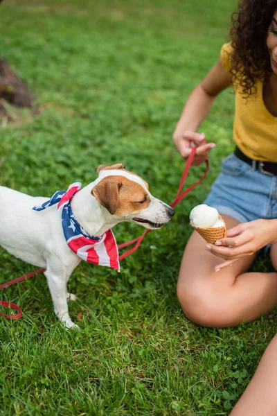 Обрезанный вид молодой женщины, держащей собаку на поводке и мороженое — стоковое фото