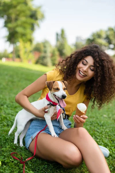 Selective focus of young woman sitting with ice cream and looking at dog — Stock Photo
