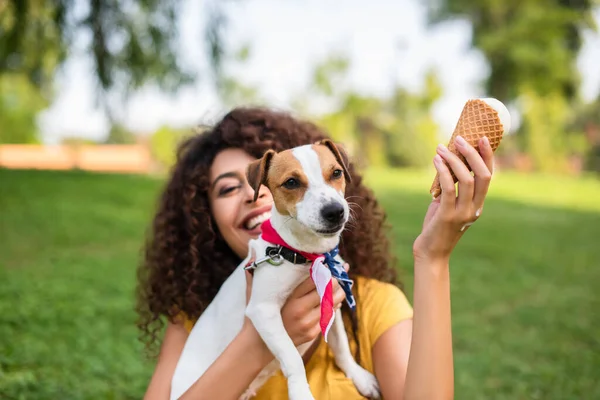 Focus selettivo di giovane donna che tiene il gelato e jack russell terrier cane — Foto stock