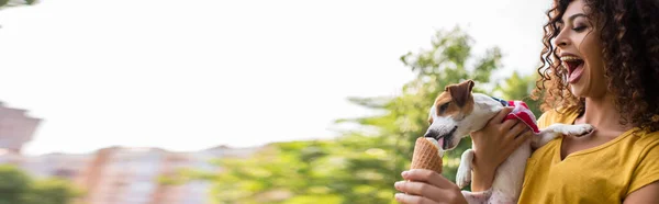 Panoramic crop of young woman with open moth looking at dog licking ice cream — Stock Photo