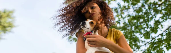 Low angle view of curly woman making duck face while holding jack russell terrier dog against blue sky, panoramic crop — Stock Photo
