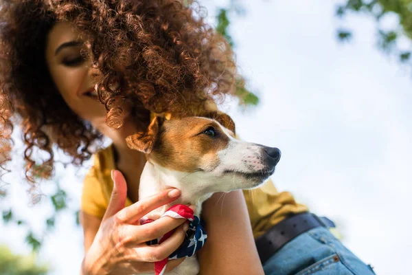 Low angle view of young curly woman holding jack russell terrier dog against blue sky — Stock Photo
