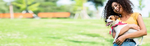 Site header of laughing, curly woman holding jack Russell terrier dog in park — стоковое фото