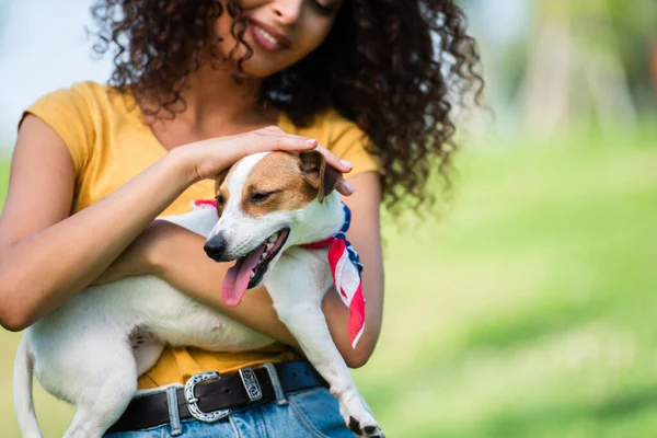 Corte vista de mulher encaracolado no verão roupa acariciando jack russell terrier cão — Fotografia de Stock