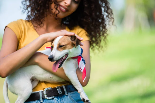 Vista ritagliata della donna riccia in abito estivo accarezzando jack russell terrier cane — Foto stock