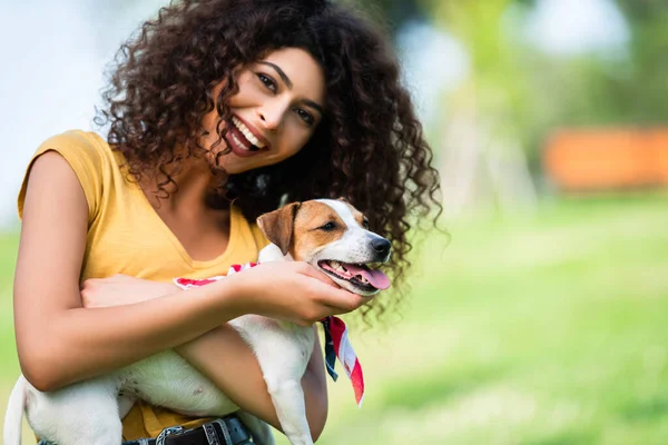 Riendo mujer mirando a cámara mientras acariciando jack russell terrier perro - foto de stock