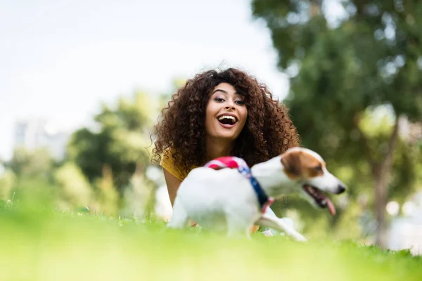 Foco seletivo da mulher excitada rindo e olhando para a câmera enquanto deitado na grama perto de Jack Russell terrier dog — Fotografia de Stock