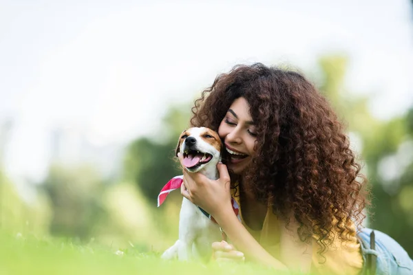 Selektiver Fokus der aufgeregten, lockigen Frau, die Jack Russell Terrier Hund umarmt, während sie auf Gras liegt — Stockfoto