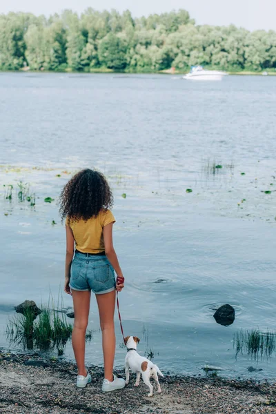 Vista posteriore della giovane donna in abito estivo con jack russell terrier cane al guinzaglio vicino al fiume — Foto stock