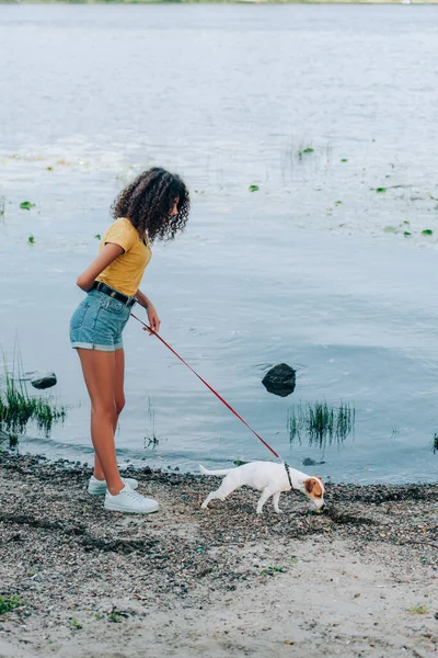 Femme bouclée en tenue d'été marchant avec Jack Russell terrier chien en laisse près du lac — Photo de stock