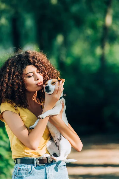 Mujer rizada en traje de verano haciendo cara de pato mientras sostiene gato russell terrier perro en parque - foto de stock