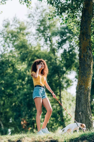 Радісна молода жінка в літньому вбранні, що йде з джек-рос-тер'єр собакою в парку і розмовляє на мобільному телефоні — Stock Photo