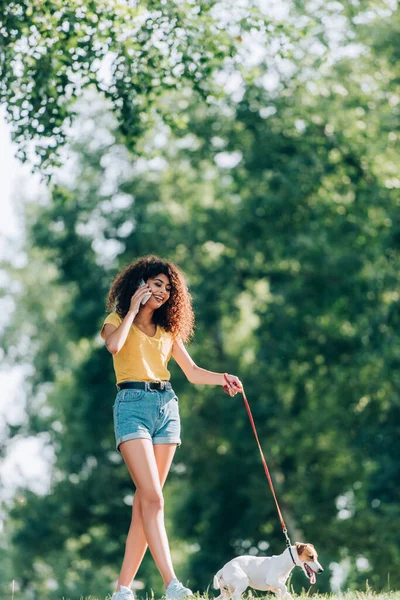 Brunette, curly woman in summer outfit strolling with jack russell terrier dog in park and talking on smartphone — Stock Photo