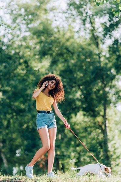 Joyful woman in summer outfit talking on cellphone while strolling with jack russell terrier dog in park — Stock Photo