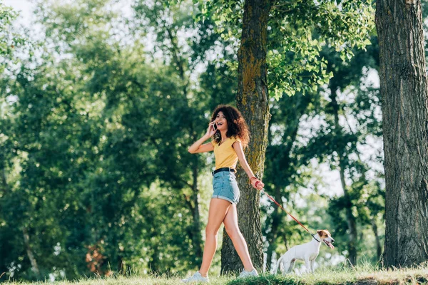 Excited woman in summer outfit talking on smartphone while walking with jack russell terrier dog on leash — Stock Photo