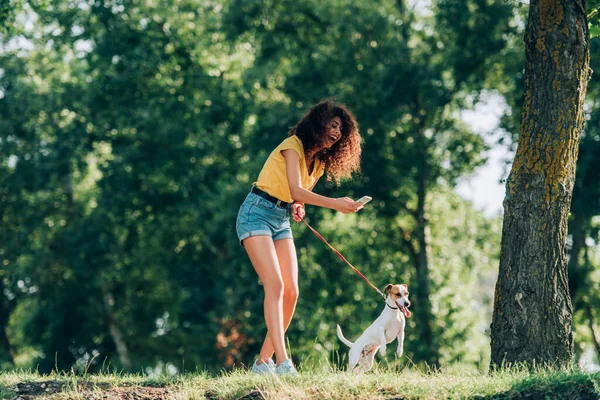 Mulher rindo em roupa de verão tirar foto de Jack Russell terrier cão enquanto passeia no parque — Fotografia de Stock