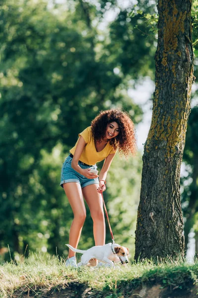 Кудрявая женщина в летнем наряде фотографирует Джека Рассела Терьера во время прогулки в парке — стоковое фото