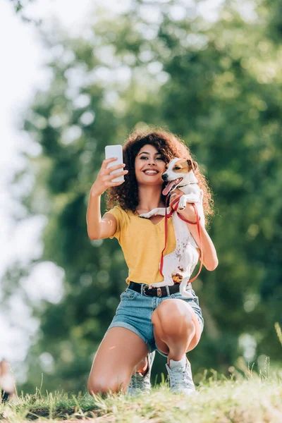 Взволнованная женщина в летнем наряде, держащая в руках Джека Рассела терьера, делая селфи на смартфоне в парке — стоковое фото