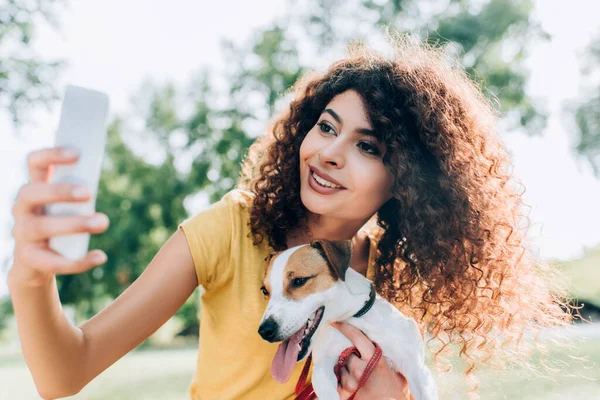 Jovem, mulher encaracolado abraçando jack russell terrier cão enquanto tomar selfie no celular no parque — Fotografia de Stock