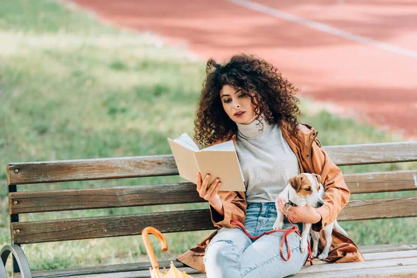 Стильна жінка в осінньому вбранні читає книгу, сидячи на лавці з джек-російським тер'єром собакою — стокове фото