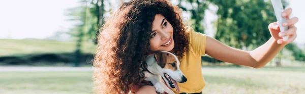 Panorama-Ernte von Lockenkopf-Frau macht Selfie auf Smartphone mit Jack Russell Terrier-Hund — Stockfoto